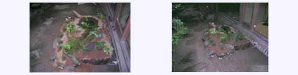 ホタルビオトープ(小)・・・約1.11u