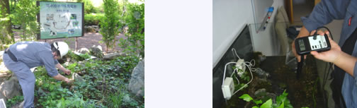 メンテナンスの様子